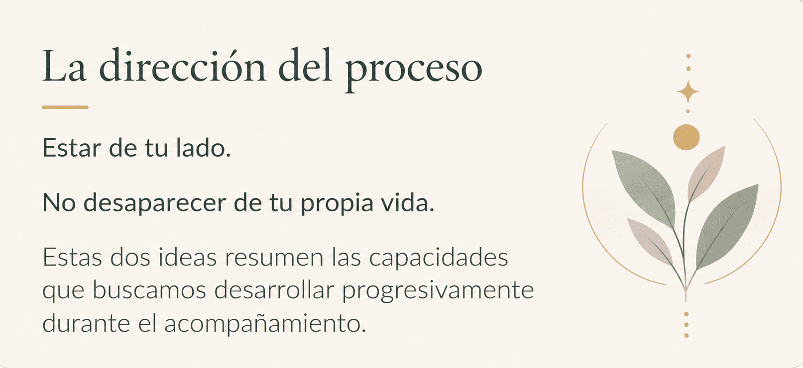 explicacion de las direcciones a las que se encamina el proceso de acompañamiento