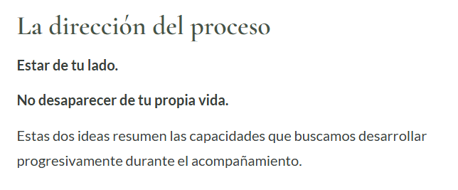 explicacion de las direcciones a las que se encamina el proceso de acompañamiento